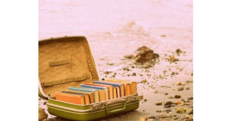 Vacanza flop. Il conciliatore è elettronico