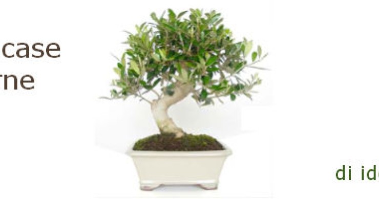 Le 100 case che da più tempo sono annunciate su idealista (e i loro errori)