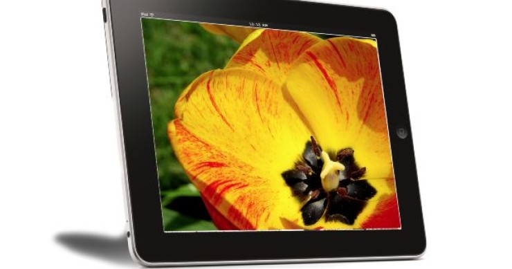 Calcola la rata del mutuo con l'app di mutui online