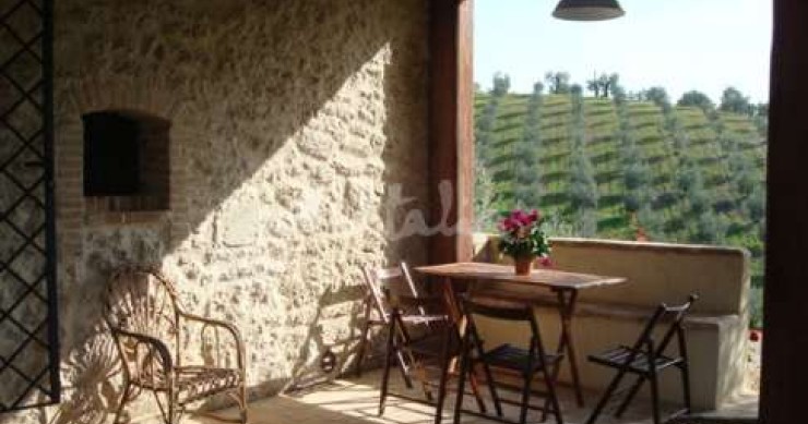 Case del week end: a raccogliere le olive sui poggi della sabina (farfa)