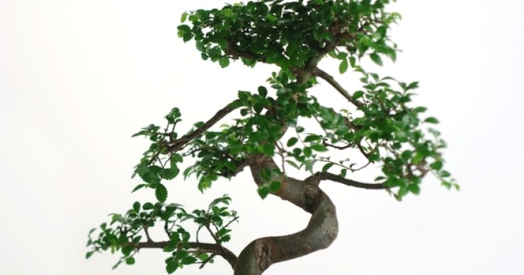 La nuova tendenza immobiliare: gli appartamenti minuscoli