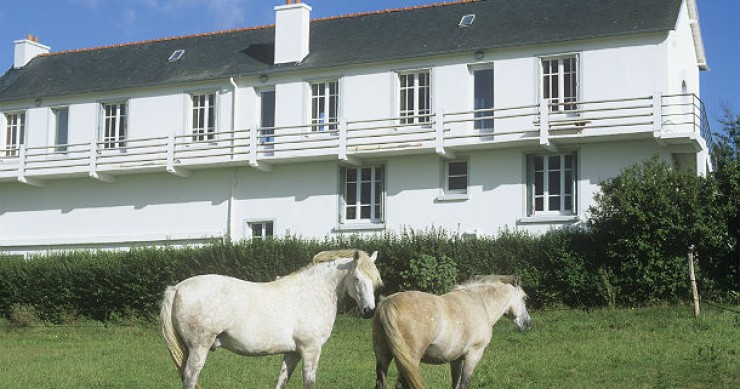  Case cavallo e case somaro: come muoversi nel mercato immobiliare