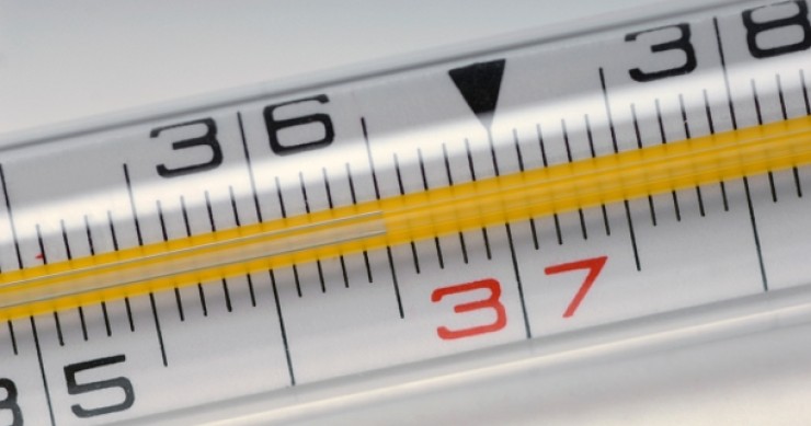 La cedolare secca nel 730: istruzioni per l'uso