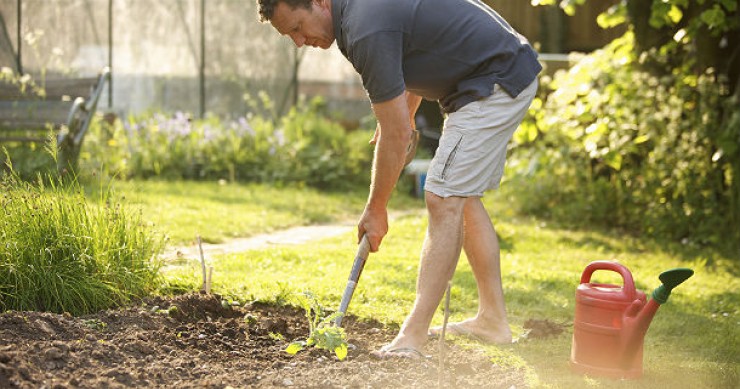 Sovicille, informazioni sul comune