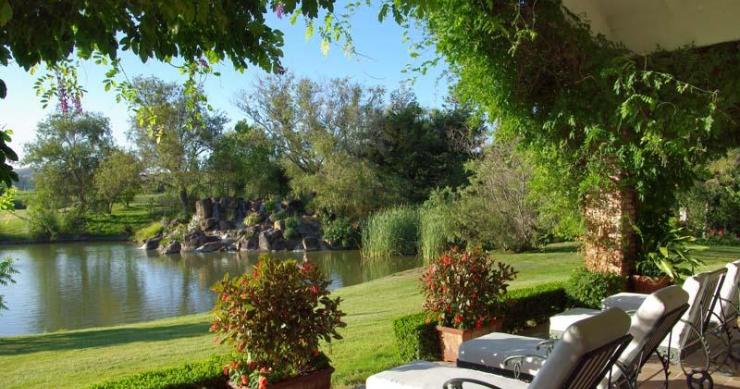 Case da sogno: tra i laghi e le colline ondulate del paradiso del vino (california)