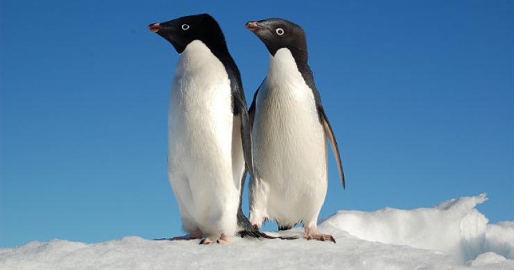 Italiani "mammoni": uno su tre vive ancora con i genitori