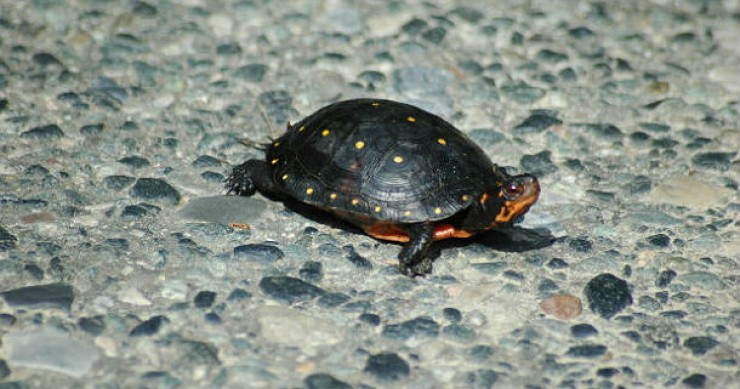 Cgil: 3 milioni di famiglie schiacciate dal peso della casa