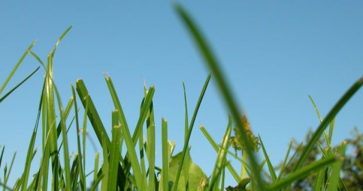 L'immobiliare francese in crisi coi mutui: l'erba del vicino non è sempre più verde