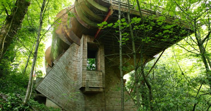 Una casa d'autore sull'albero nelle foreste dell'oregon (fotogallery)