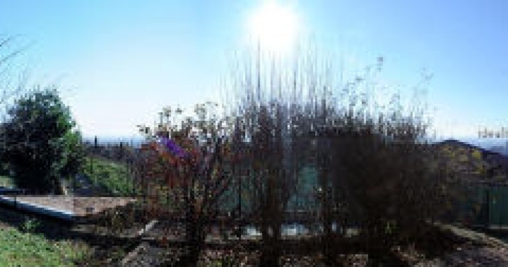 Gli immobili in evidenza della settimana (visite virtuali)