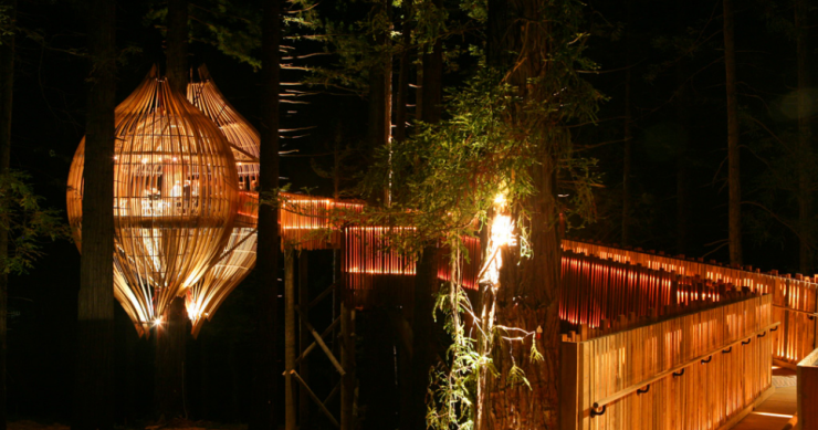 Un ristorante sull'albero a forma di bozza di crisalide in nuova zelanda (video e fotogallery)