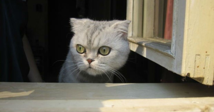 Scenari immobiliari: la ripresa del mattone è vicina