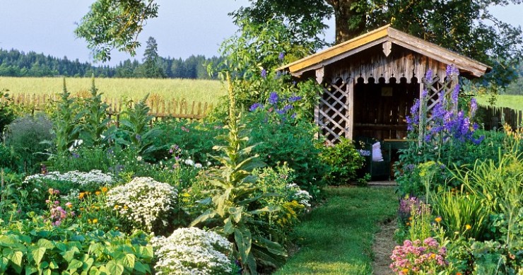 La casa con il giardino piu strano del mondo (video)