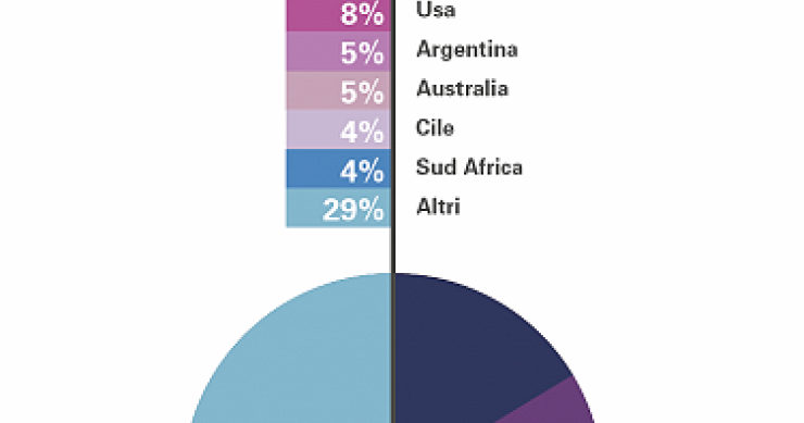 Immagine del giorno: la produzione mondiale di vino, l'Italia è prima