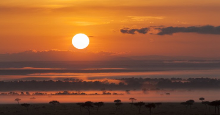 Tecnocasa, si avvicina l'alba di un nuovo mercato immobiliare