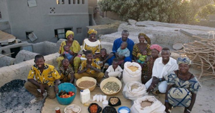 Come fanno la spesa e quanto spendono le famiglie in giro per il mondo (fotogallery)