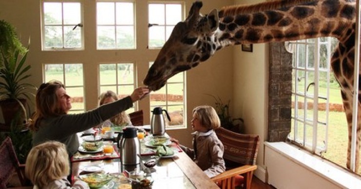 In kenya, nell'hotel "giraffe manor", il safari comincia dalla propria stanza (fotogallery)