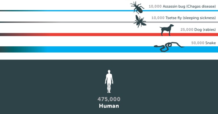 Immagine del giorno: se li conosci, li eviti: i più pericolosi killer del mondo animale