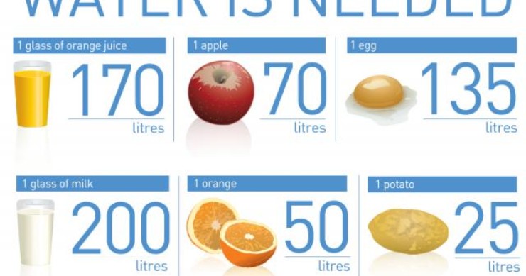 Immagine del giorno, quant'acqua si spreca per creare gli alimenti di ogni giorno