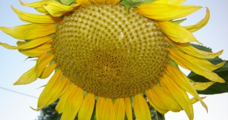 Funzionale, domotica e a basso impatto ambientale: ecco la casa più amata dagli italiani