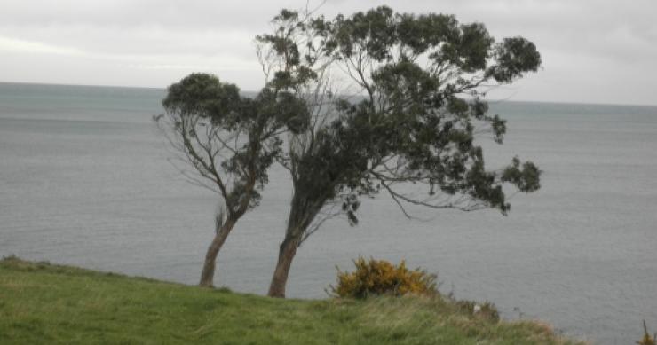 Perché in Italia "le prime case sono inaccessibili, le seconde non sono più un investimento e gli affitti non sono più renumerativi"