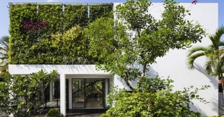 Il palazzo frutteto nel cuore del vietnam (fotogallery)