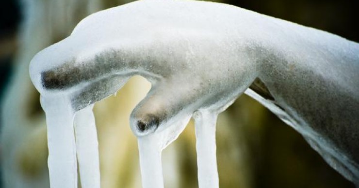 Le tariffe energetiche più convenienti per sopravvivere all'inverno