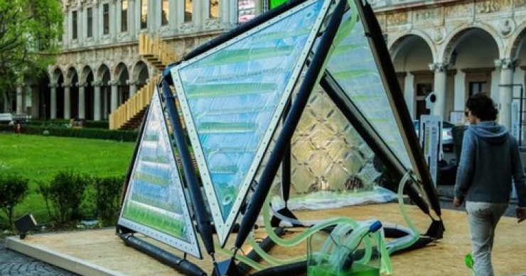 Edifici a base di alghe: i fondali marini conquistano le città (fotogallery)