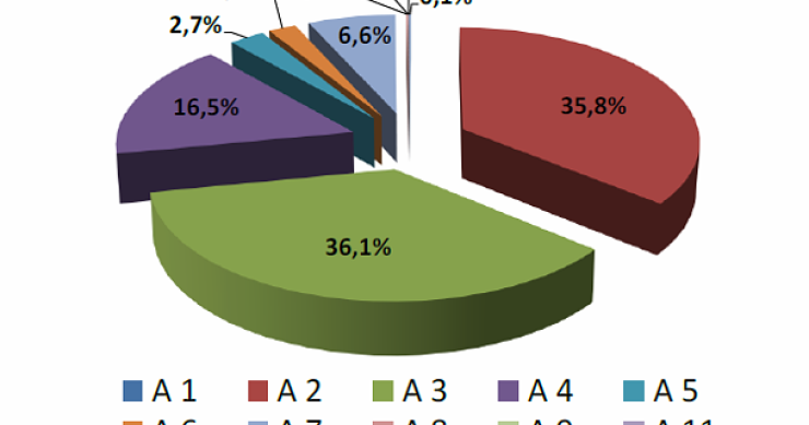 Immagine del giorno: distribuzione stock abitazioni per categoria catastale