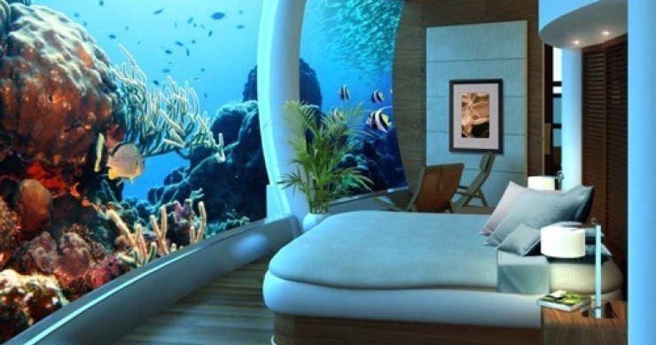 Come integrare un acquario nella decorazione della tua casa (fotogallery)