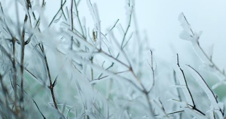 Nel 2014 è iniziato il disgelo per il mercato dei mutui