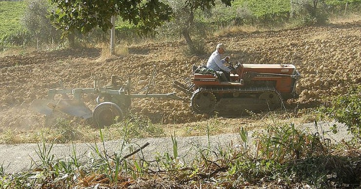 Imu terreni agricoli montani, solo sei giorni per il pagamento