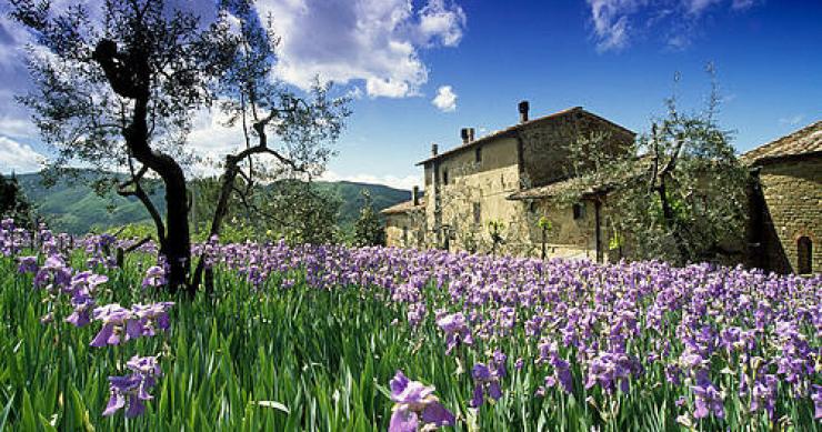 Imu terreni agricoli, cosa cambia con la nuova legge