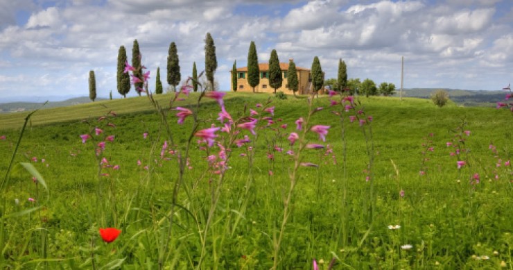 Imu agricola, il governo è pronto a intervenire nel 2016