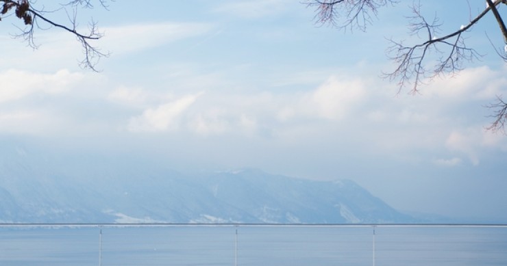 Affitti in nero: la Consulta cancella (ancora una volta) i contratti a canone ridotto. Cosa succederà agli inquilini?