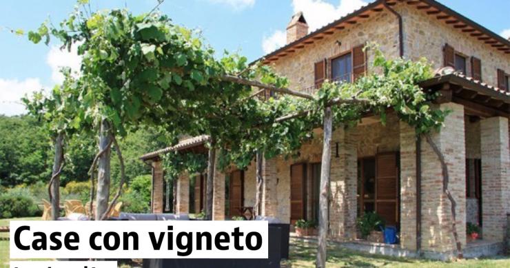 Case con vigneto e terreno in vendita