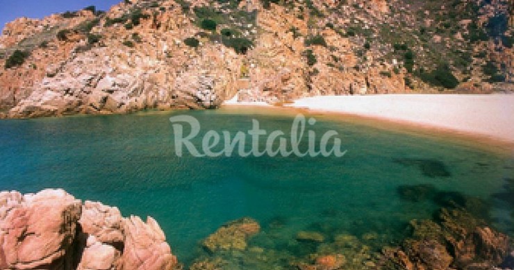 Vacanze in Sardegna, a Costa Paradiso un delizioso appartamento in villa (Fotogallery)