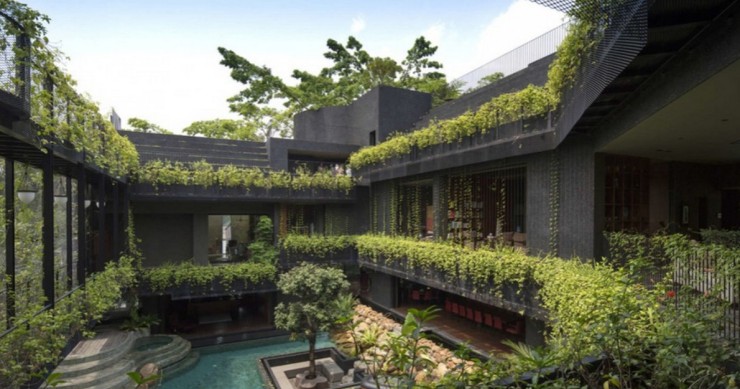 Un incredibile paradiso tropicale nascosto nel cuore della città (Fotogallery)