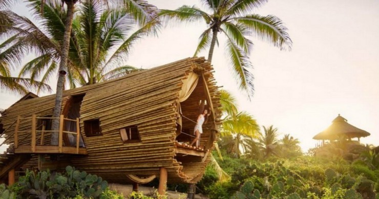 In vacanza come un moderno Robinson Crusoe in una capanna-albero di bambù ad energia solare (Fotogallery)