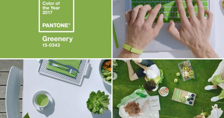 Pantone elegge il verde idealista Colore dell’Anno