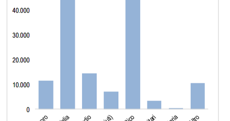 Immagine del giorno: I cittadini non comunitari maggiorenni entrati in Italia nei primi 10 mesi del 2016, per motivo di soggiorno