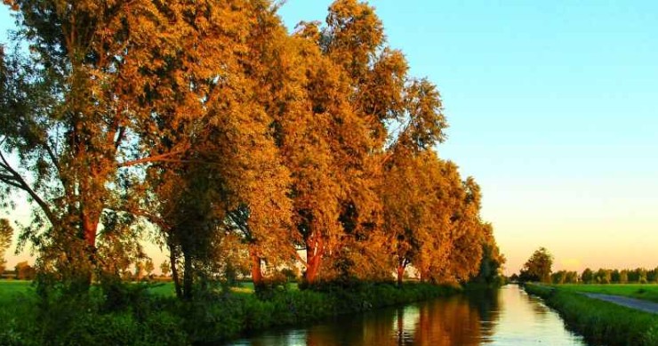 Le più belle Riserve Naturali della Biosfera in Italia