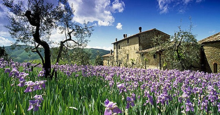 Tassa affitti brevi, il primo pagamento scatta il 16 ottobre 2017