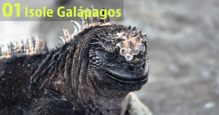 I 10 Paesi da (non) visitare nel 2018