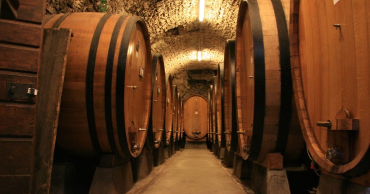 Case sugli alberi, botti e grotte: le singolari strutture ricettive riconosciute dal Veneto