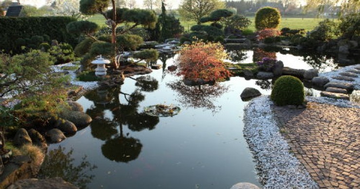 Reinventare un giardino