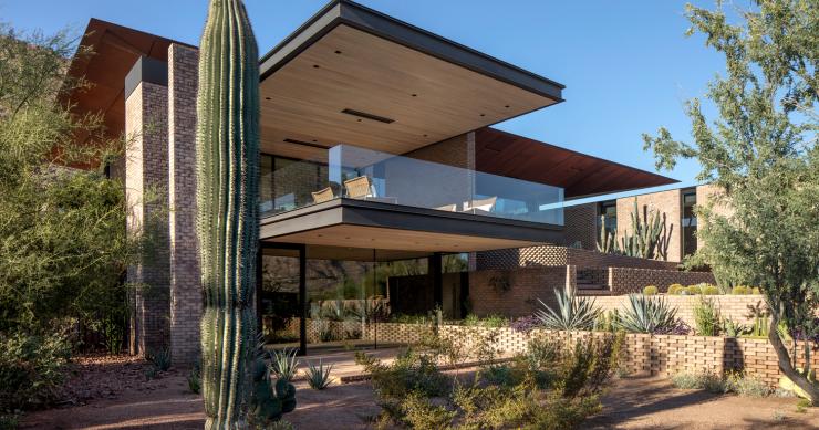 Vegetazione desertica