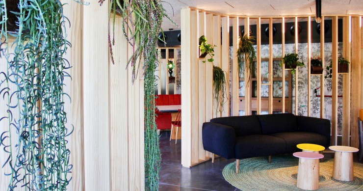 Decorare casa con le piante grasse, i consigli dell’interior designer