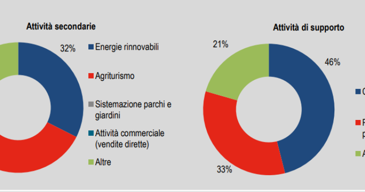 Immagine del giorno: Agricoltura, le attività secondarie e di supporto