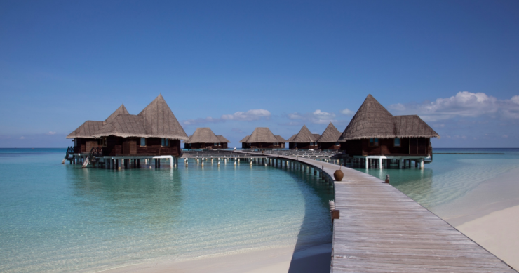 Due settimane gratis in un resort 4 stelle alle Maldive, basta prendersi cura delle tartarughe